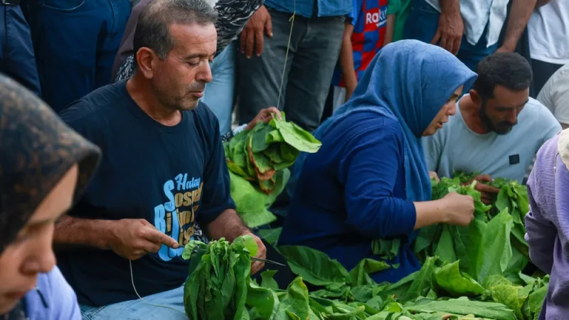 YAYLADAĞI’NDA FESTİVAL COŞKUSU 