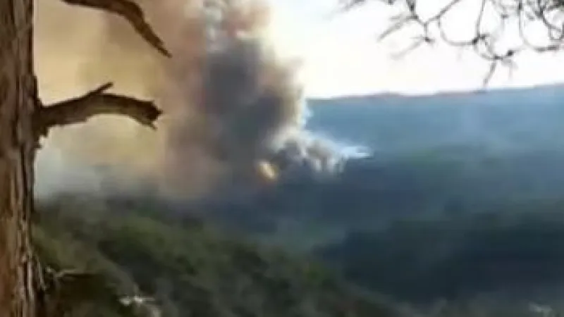 YAYLADAĞI'NDAKİ YANGIN