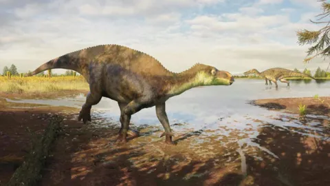 Yeni dinozor türü keşfedildi