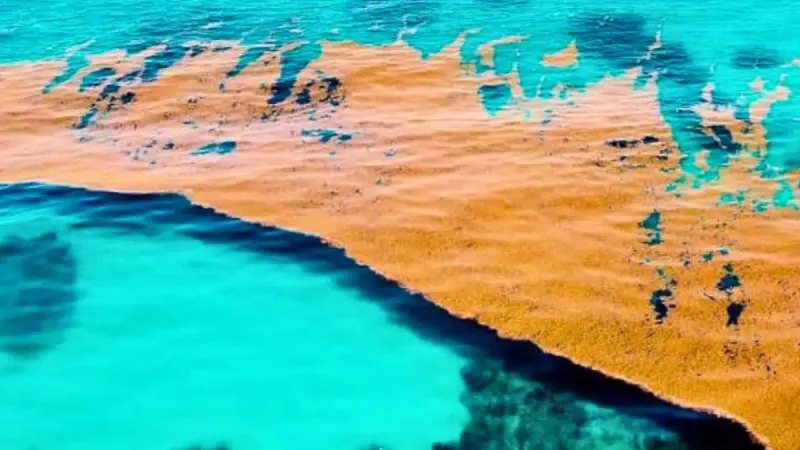 Yeryüzünde karaya değmeyen tek bir deniz var: Kıyısı yok