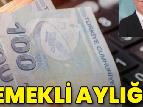 Emekli aylığı nasıl artırılır? - fotoğraf 1