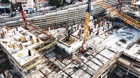 Yükselen yapıların ortasında tek başına: Tarihi tersanedeki asırlık ağaç havadan görüntülendi