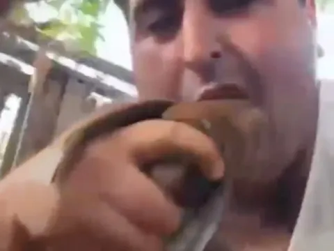Kuşları vahşice katledip görüntüleri sanal medyada paylaşmıştı: Yusufcan Turay tutuklandı - fotoğraf 4