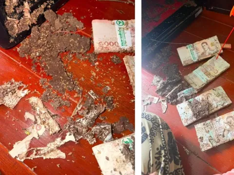 Hırsız girmesin diye kasaya koymuştu: Günler önce sakladığı servetini bu halde buldu - fotoğraf 3