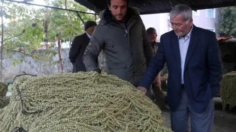 Zahmetli hasat rekor getirdi: Yaşını 40 liraya, kurusunu 4 bin liraya satıyorlar