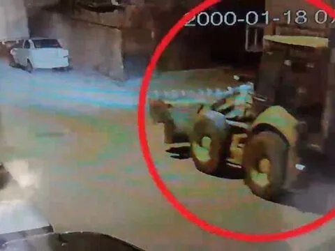 Kepçeyle gelip Roma tarihini çaldılar - fotoğraf 2