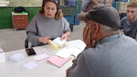 Zeytin 70 liradan 20-25 liraya düştü: 'Çiftçi yoksa biz yokuz'