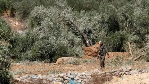 Zeytin hasadı yapmasınlar diye orduyu çağırdılar