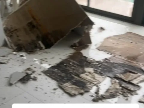 Ünlü astrolog Nuray Sayarı'nın lüks villasını sağanak fena vurdu! Tavan çöktü, havuz taştı - fotoğraf 1