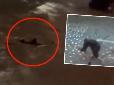 İstanbul'da afeti yaşadı... Metrekareye 242 kg yağış! Can kayıplarımız var - fotoğraf 1