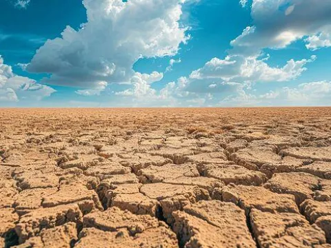 Yılda 33 bin ağaç dikmeliler - fotoğraf 3